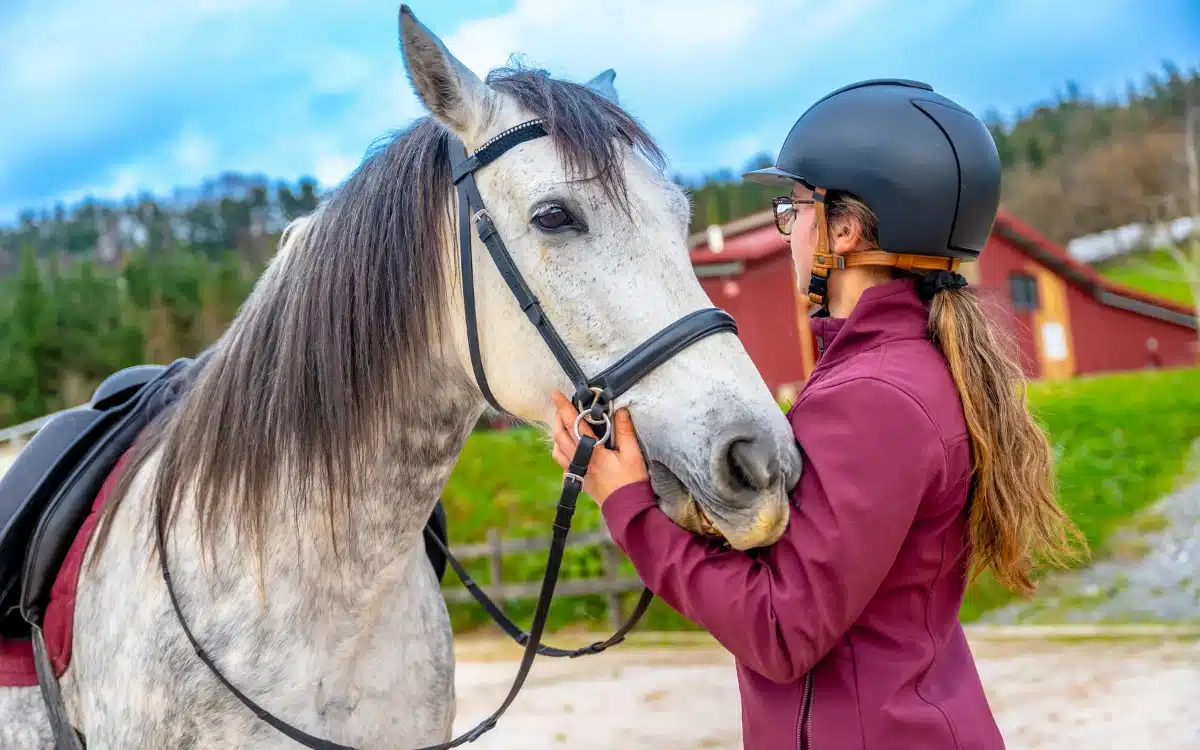 cheval centre equestre