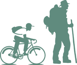 sectionpictorandocyclo