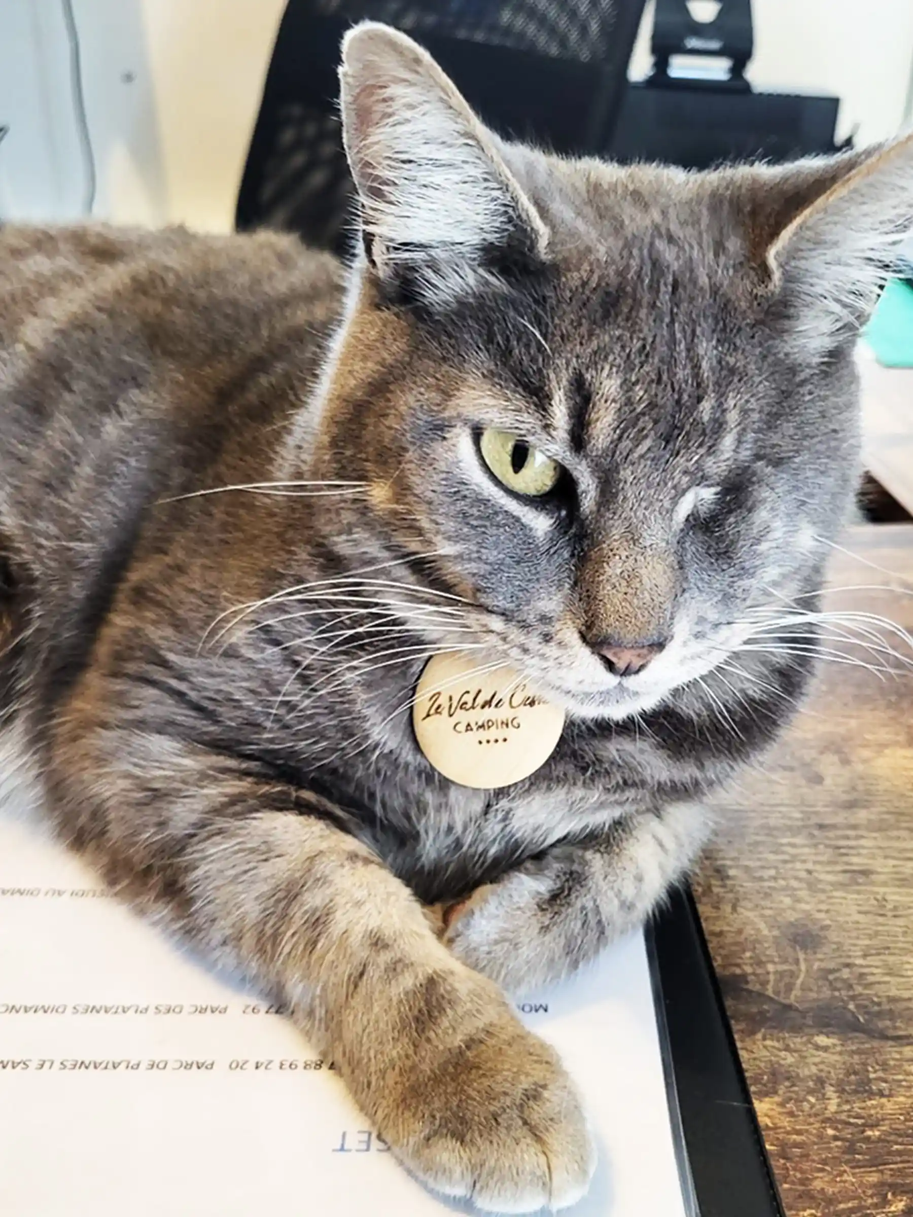 chat le val de cessse camping