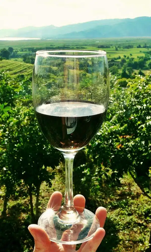 degustation vins producteurs locaux Occitanie