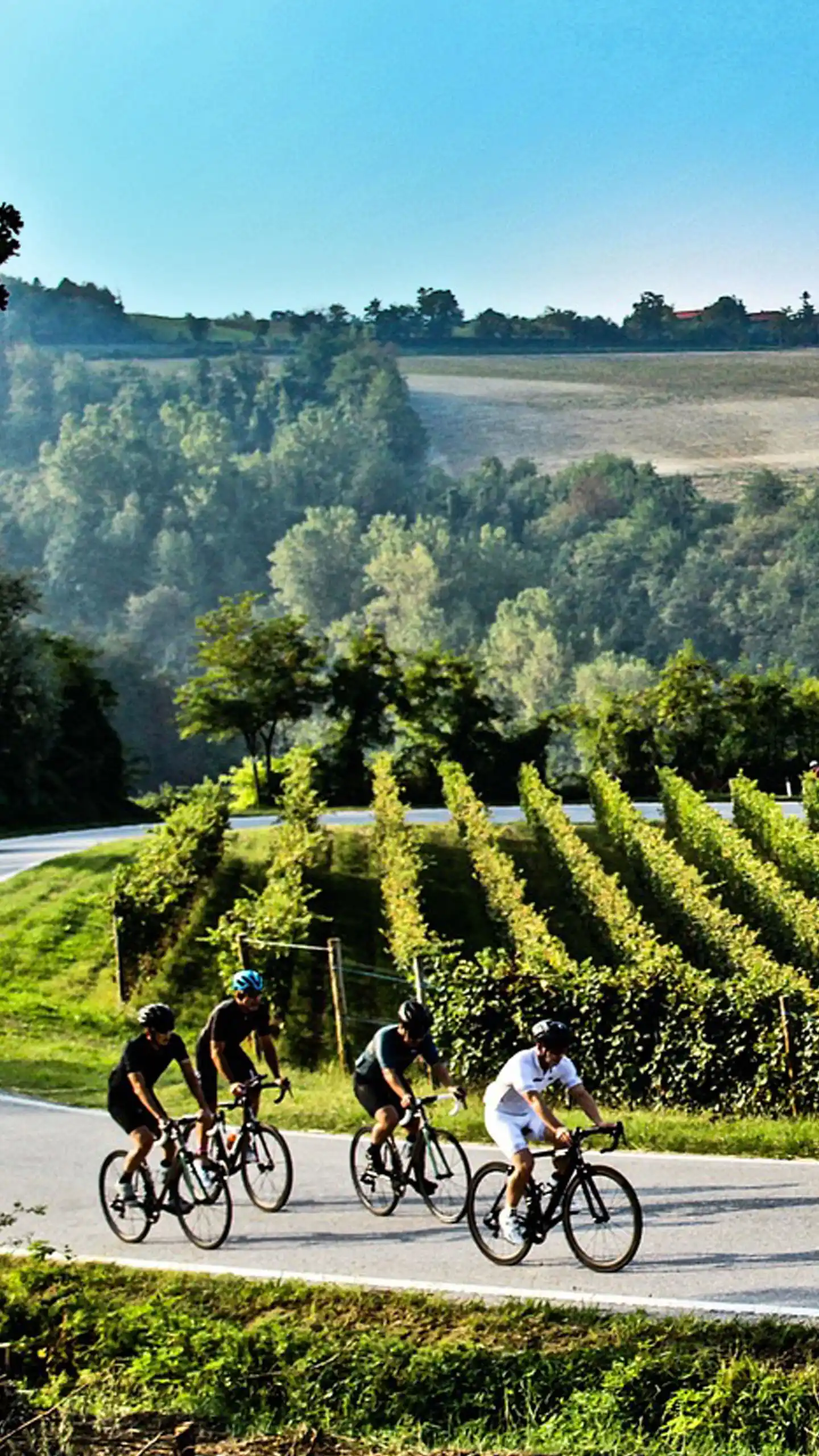 Balade à vélo en pleine nature entre vignes et paysages de l’Aude