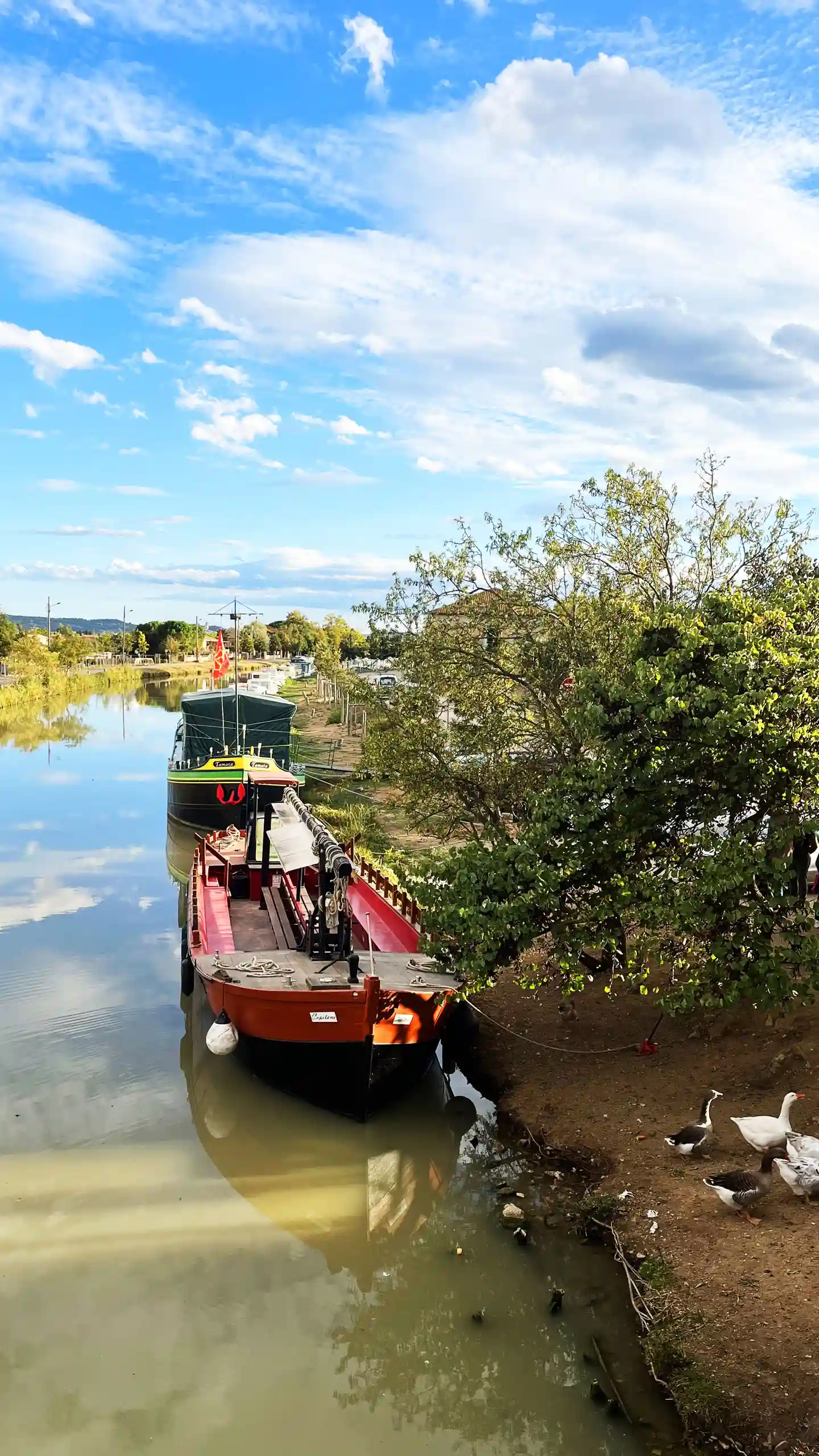 Scène paisible avec bateaux et canards sur le Canal du Midi