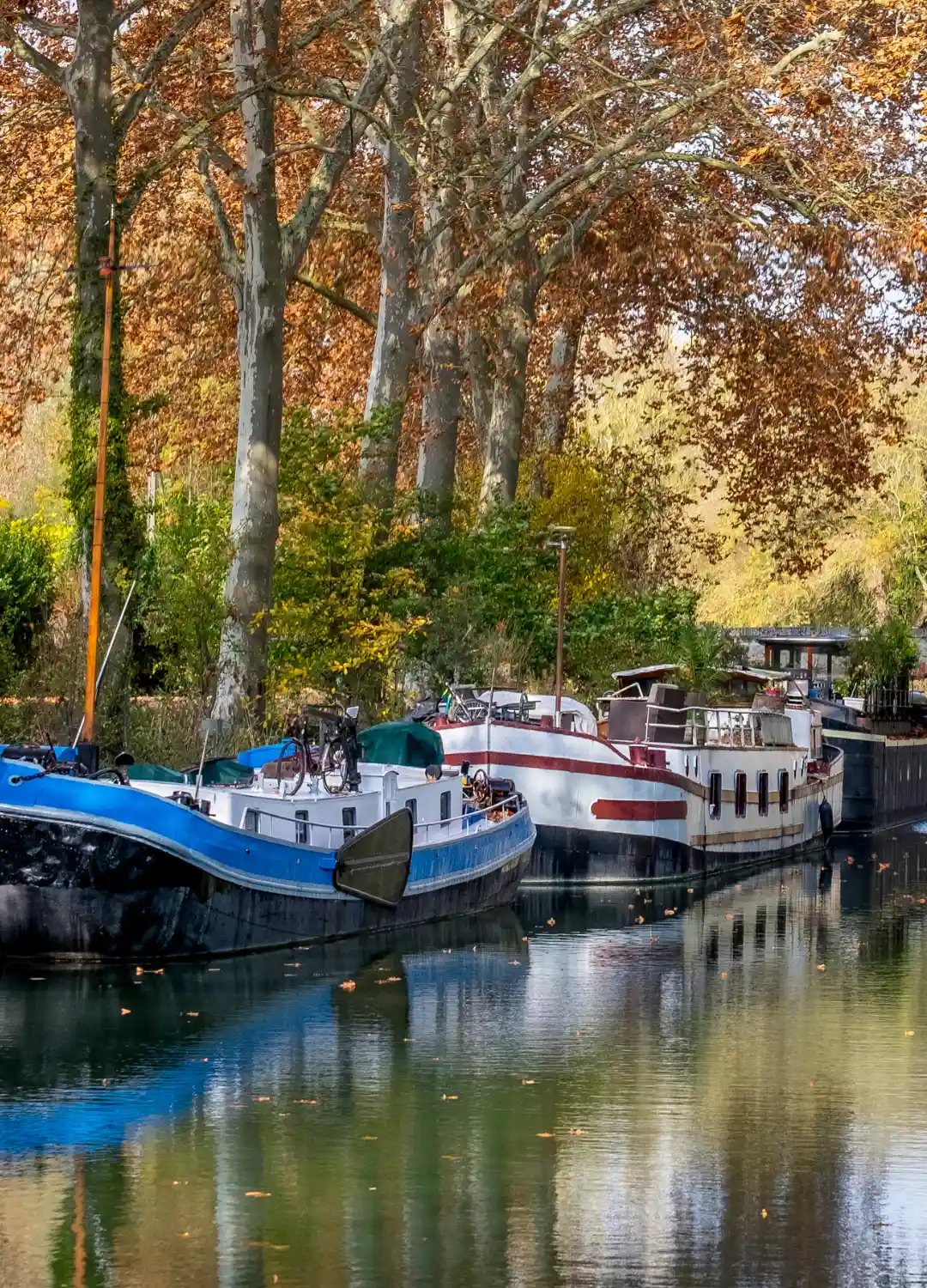 canal du midi séjour nature dans le Su de la France