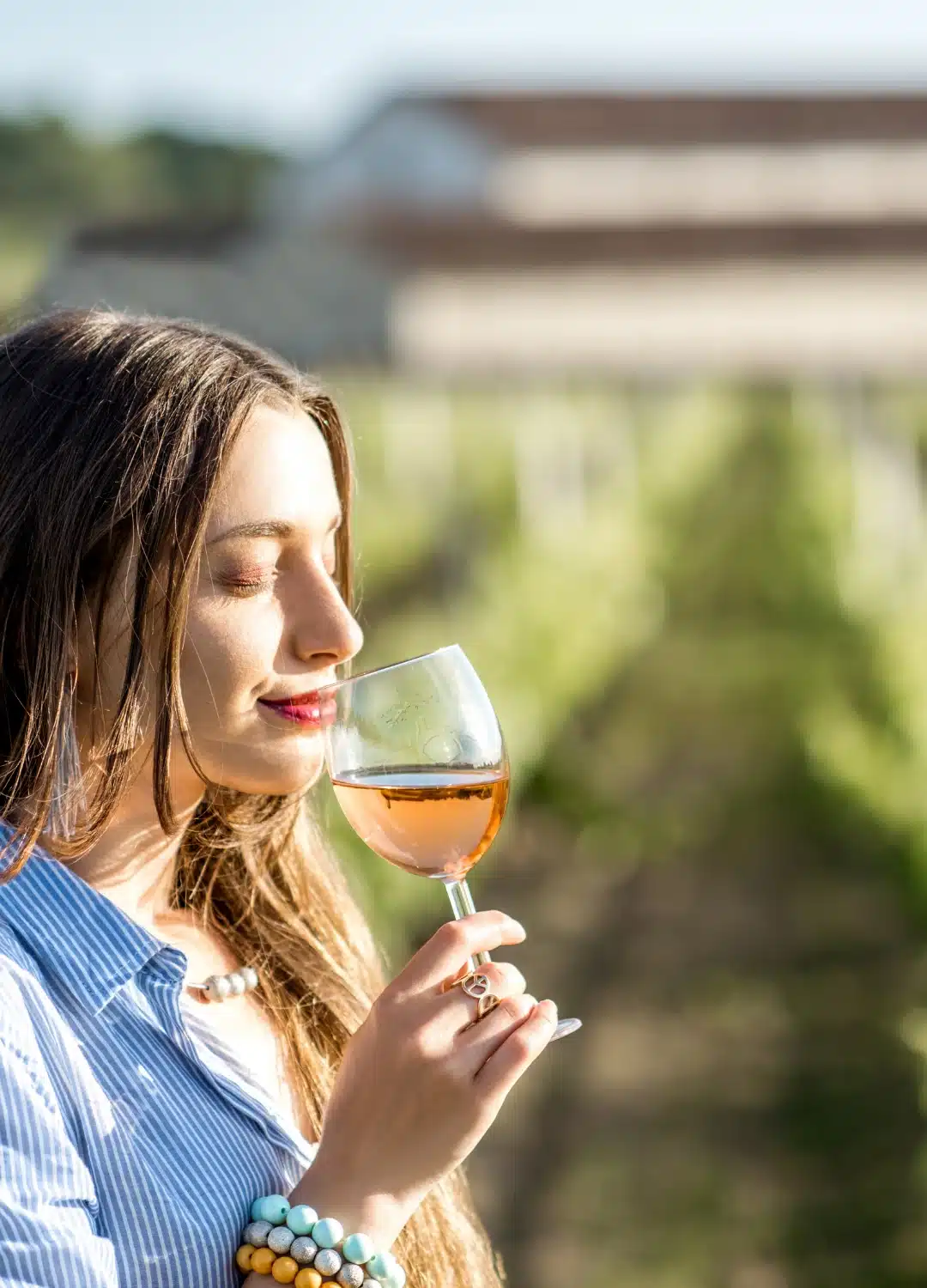dégustation vin